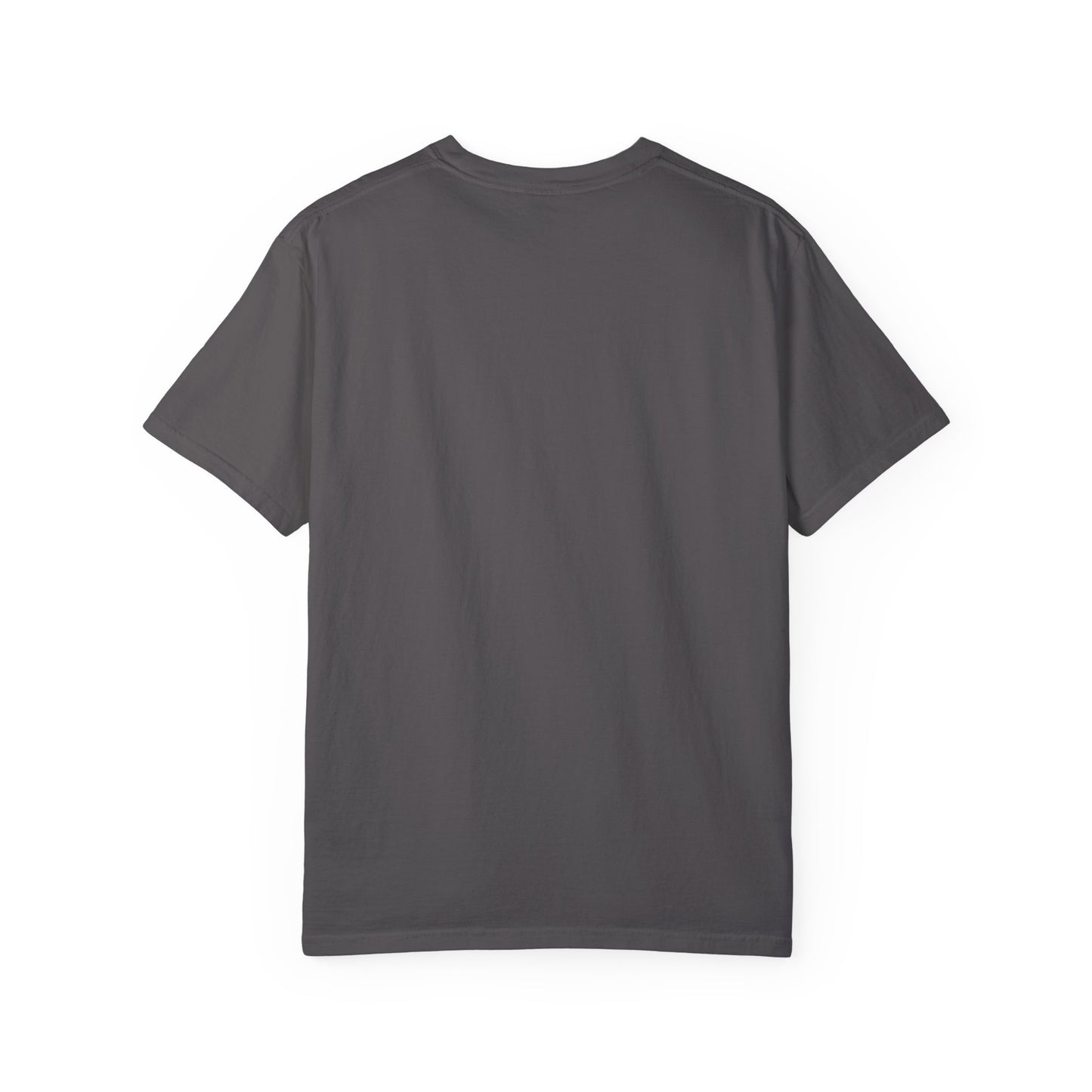International Playboy Unisex Garment-Dyed T-shirt
