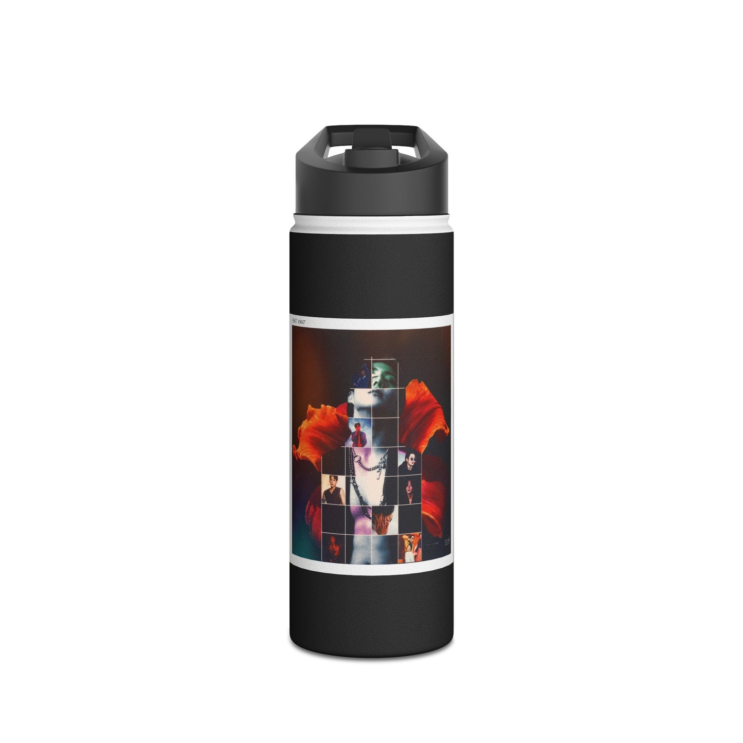 JK Graphic Stainless Steel Water Bottle, Standard Lid