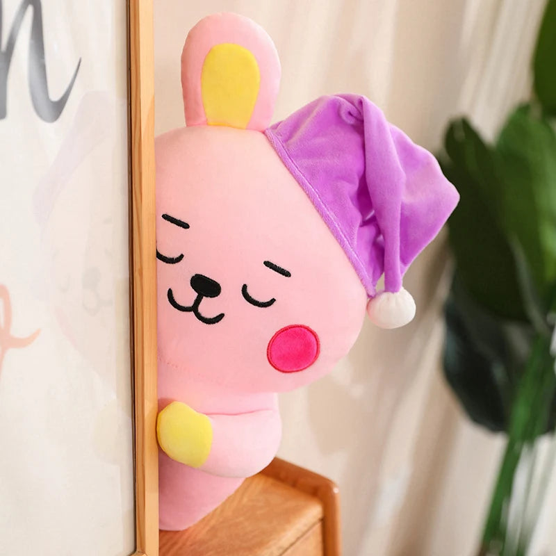 Big Size Bt21 Line Friends Plush Pillows