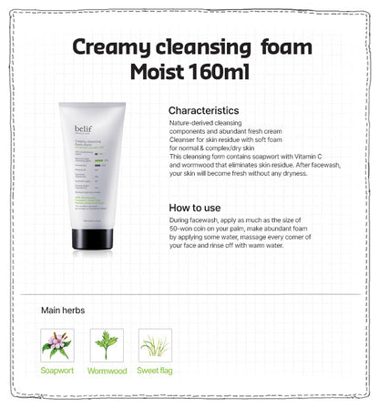 belif CREAMY CLEANSING FOAM MOIST 160mL